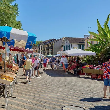 Apartamento Cosy Rez De Chaussee 2 Pers, Animaux Admis, Parking, Wifi Gratuit - Fr-1-841-86 Cazaubon